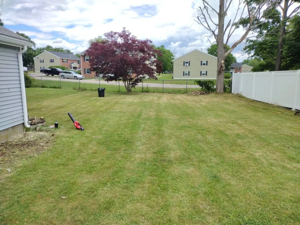 Professional yard cleanup service in Taunton, MA by Elisio Estate Maintenance