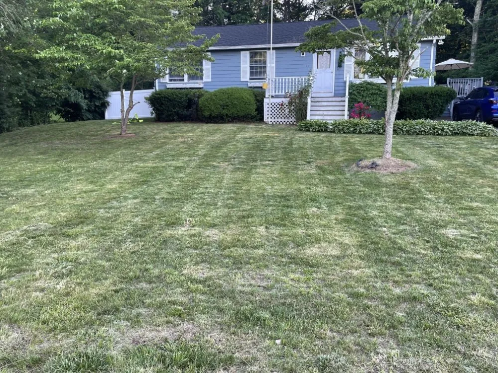 Professional outdoor landscaping in Taunton, MA - Elisio Estate Maintenance