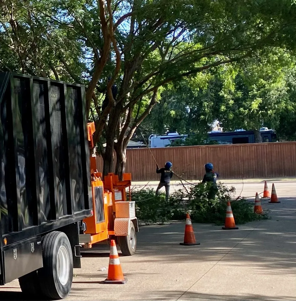 Reliable garden landscaping for year-round maintenance across Corinth, TX - Elite Arborist
