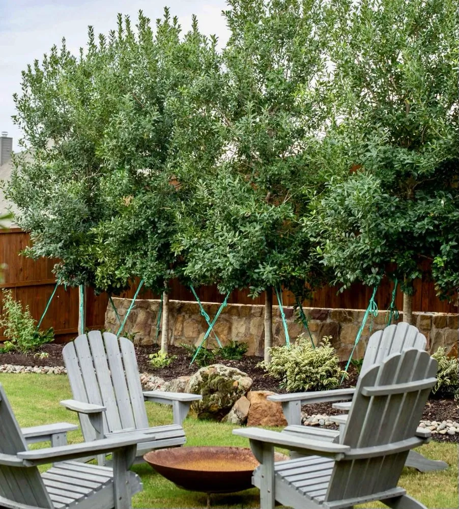 Professional outdoor landscaping for homes across Corinth, TX - Elite Arborist