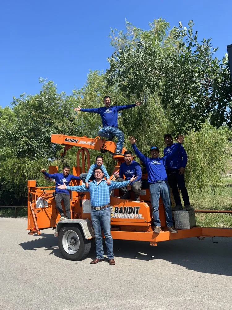 Professional yard maintenance for residential properties across Corinth, TX - Elite Arborist