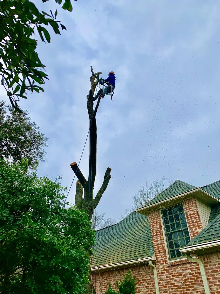 Professional garden landscaping for residential properties across Corinth, TX - Elite Arborist