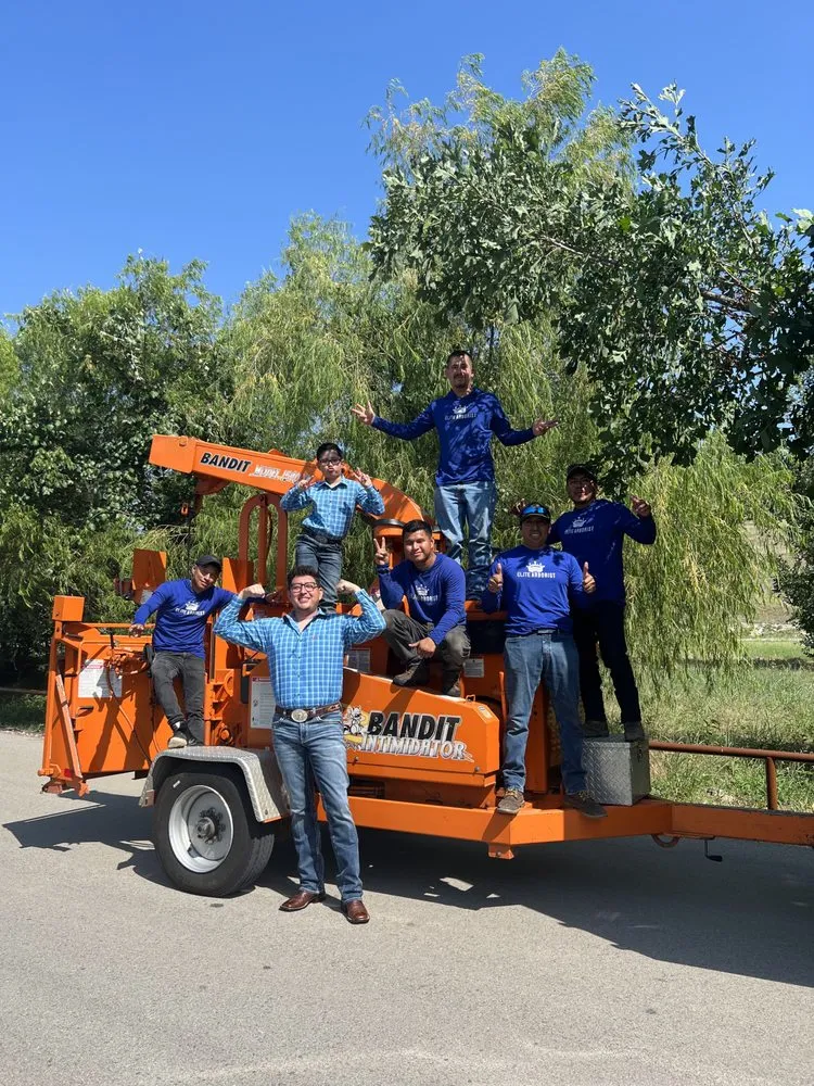 Professional garden landscaping experts serving Corinth, TX - Elite Arborist