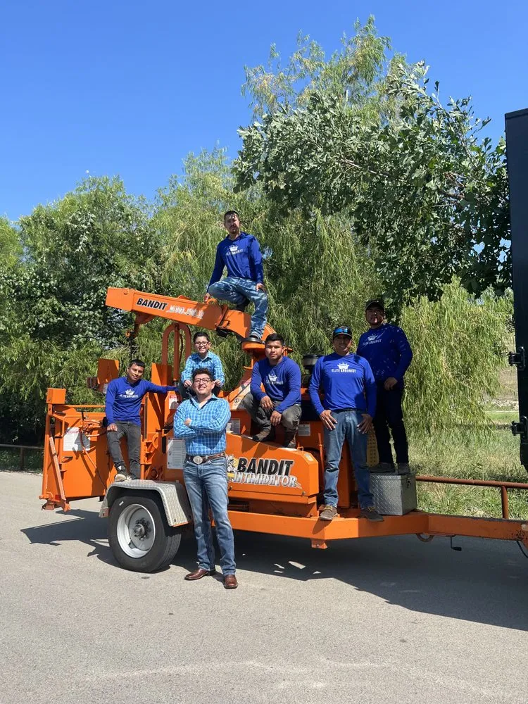 Trusted garden landscaping experts serving Corinth, TX - Elite Arborist