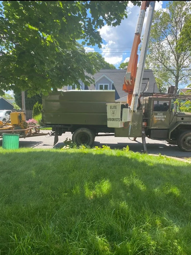 Custom landscape design experts serving Point Pleasant, NJ - Elite Arborists