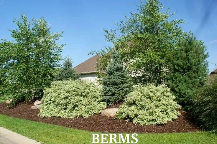 Affordable residential landscaping with custom design in Cleveland, MO by Elite Bobcat Excavation