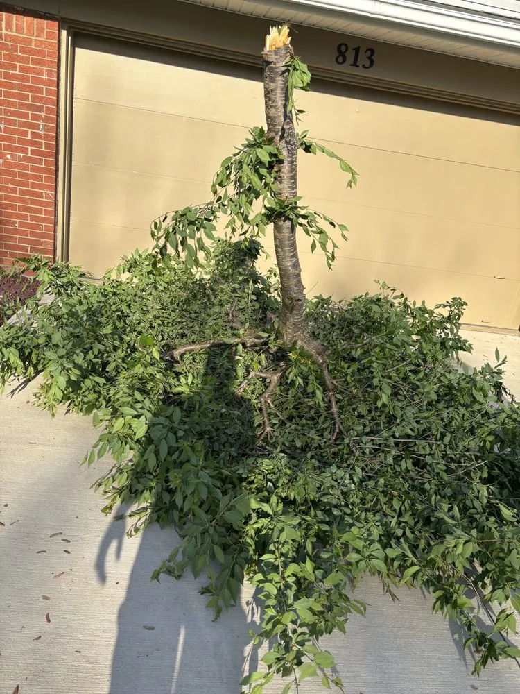 Affordable landscape design experts serving Lorain, OH - Elite Bro’s Landscape