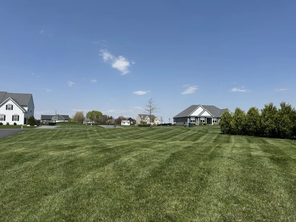 Trusted garden landscaping near you across Nazareth, PA - Elite Brothers Services