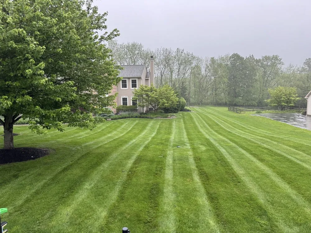 Expert lawn mowing service near you in Nazareth, PA by Elite Brothers Services
