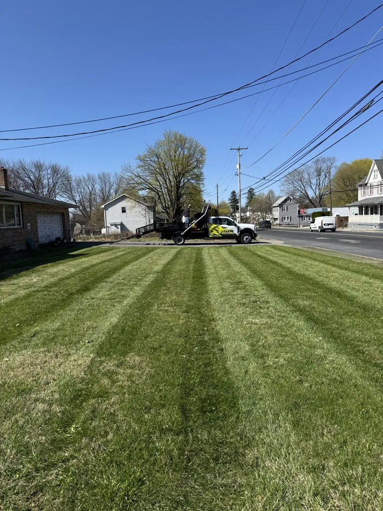 Affordable lawn care service for beautiful yards across Nazareth, PA - Elite Brothers Services
