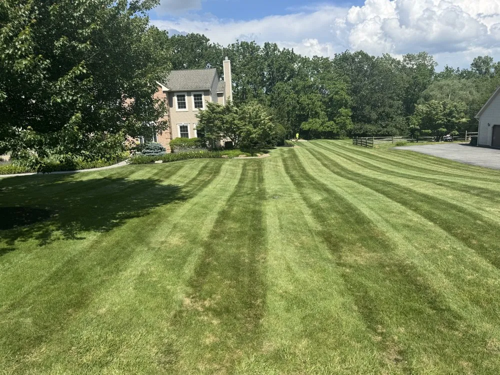 Reliable yard cleanup service with custom design in Nazareth, PA by Elite Brothers Services