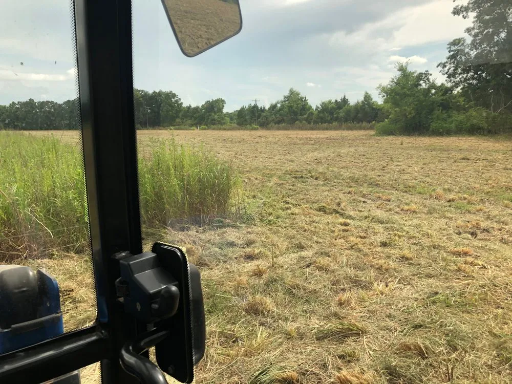 Custom yard maintenance for residential properties across Breaux Bridge, LA - Elite Bush Hogging & More