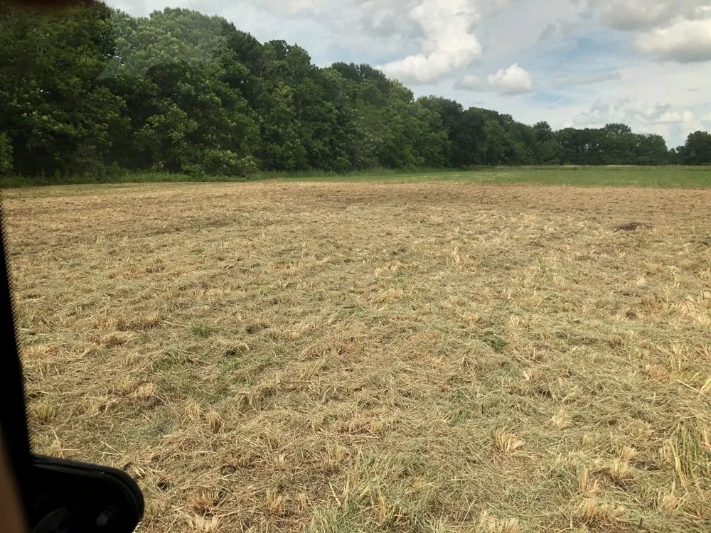 Professional lawn mowing service for beautiful yards across Breaux Bridge, LA - Elite Bush Hogging & More