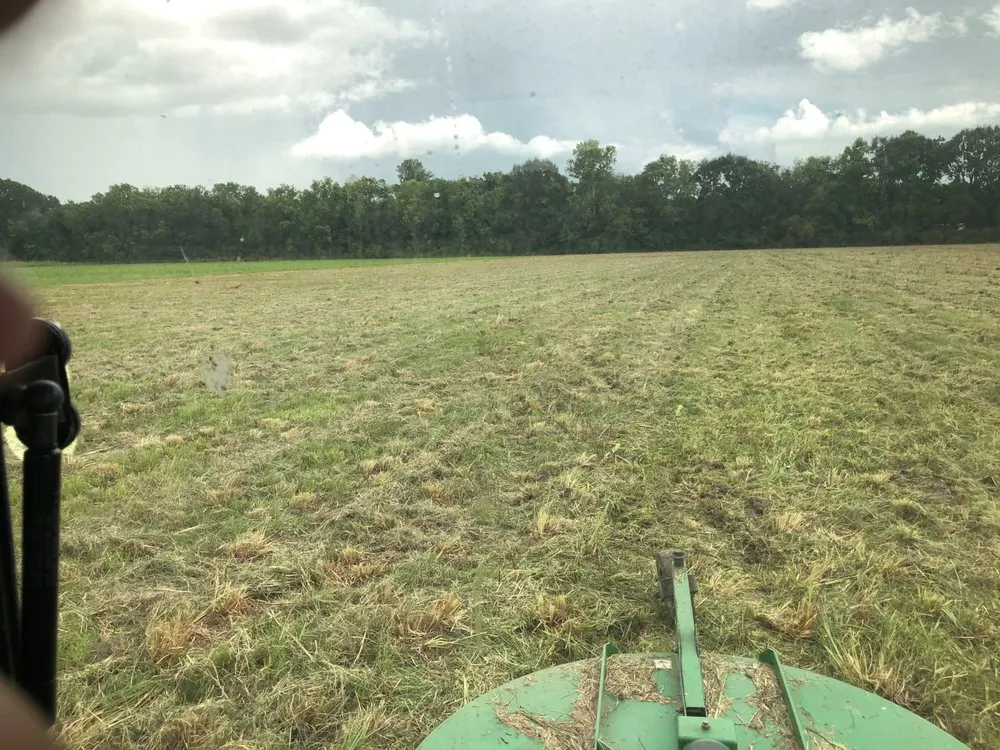 Top-rated outdoor landscaping in Breaux Bridge, LA - Elite Bush Hogging & More