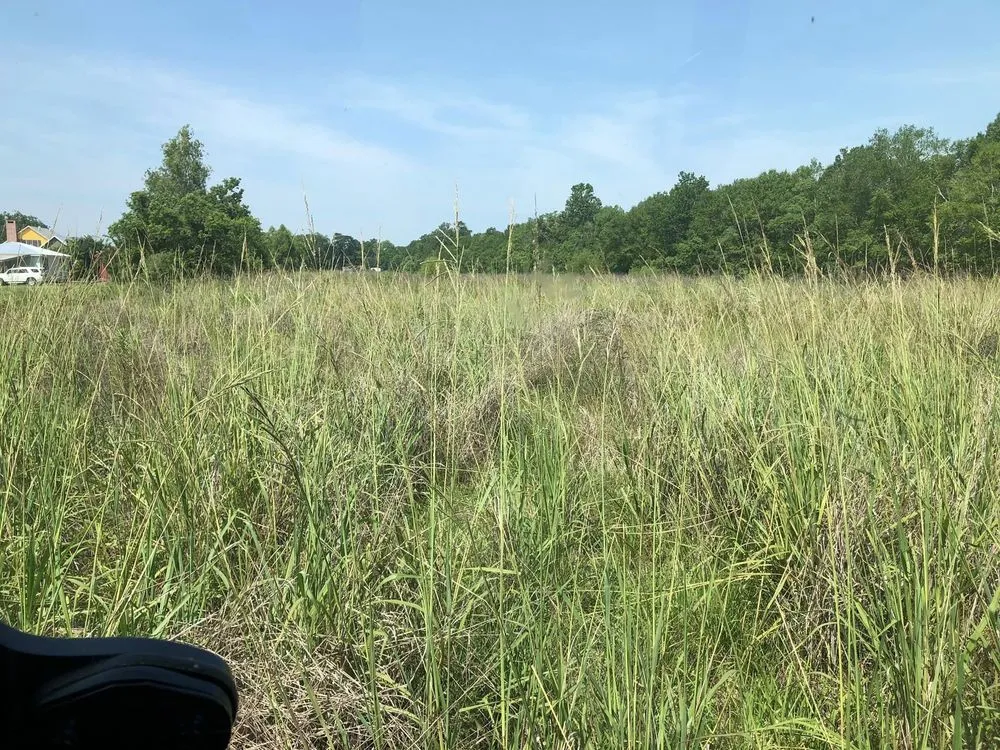 Custom lawn care service for outdoor upgrades in Breaux Bridge, LA by Elite Bush Hogging & More