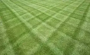 Trusted garden landscaping with custom design across Pleasant Prairie, WI - Elite Care