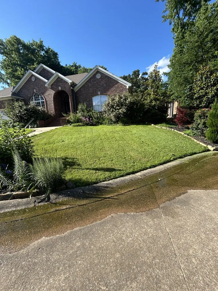 Affordable yard cleanup service in Lonsdale, AR by Elite Clean & Care Solutions