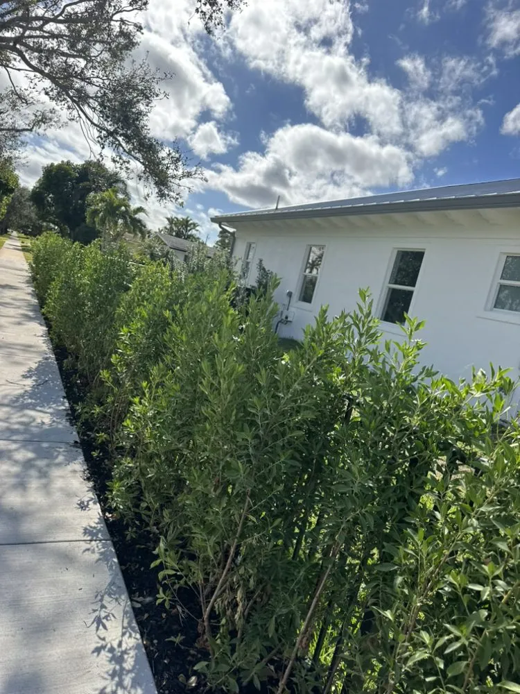 Professional landscaping services experts serving Loxahatchee Groves, FL - Elite Coast Landscaping