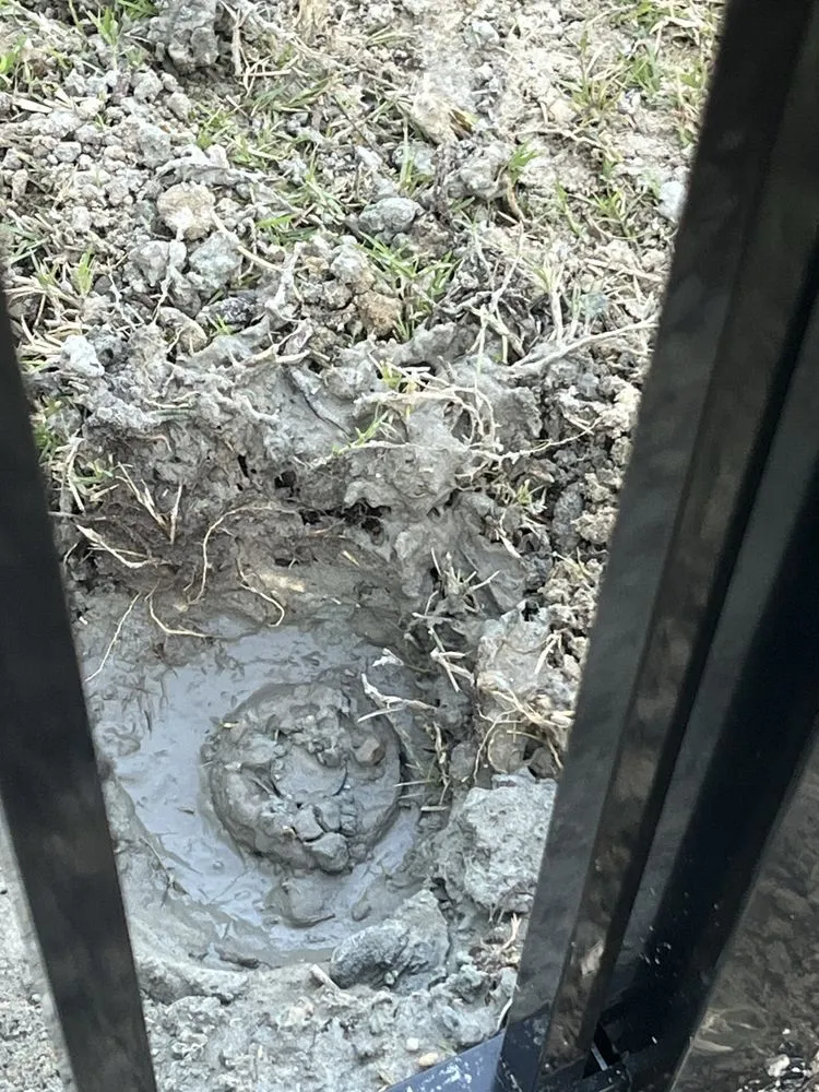 Top-rated landscaping services for homes in Little River, SC by Elite Coastal Landscaping LLC