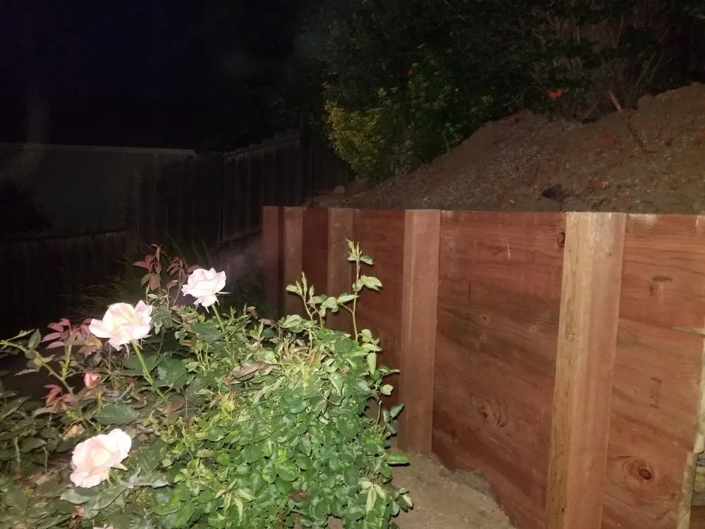 Local landscape design for outdoor upgrades across Antioch, CA - Elite Concepts Construction