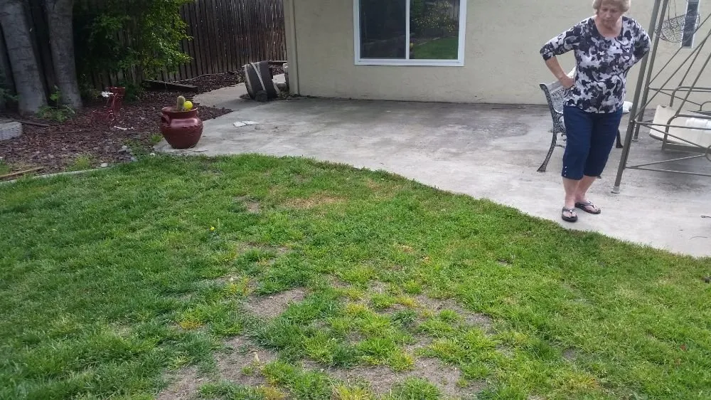 Custom yard maintenance for homes across Antioch, CA - Elite Concepts Construction