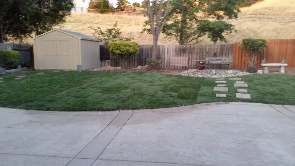 Affordable yard maintenance experts serving Antioch, CA - Elite Concepts Construction