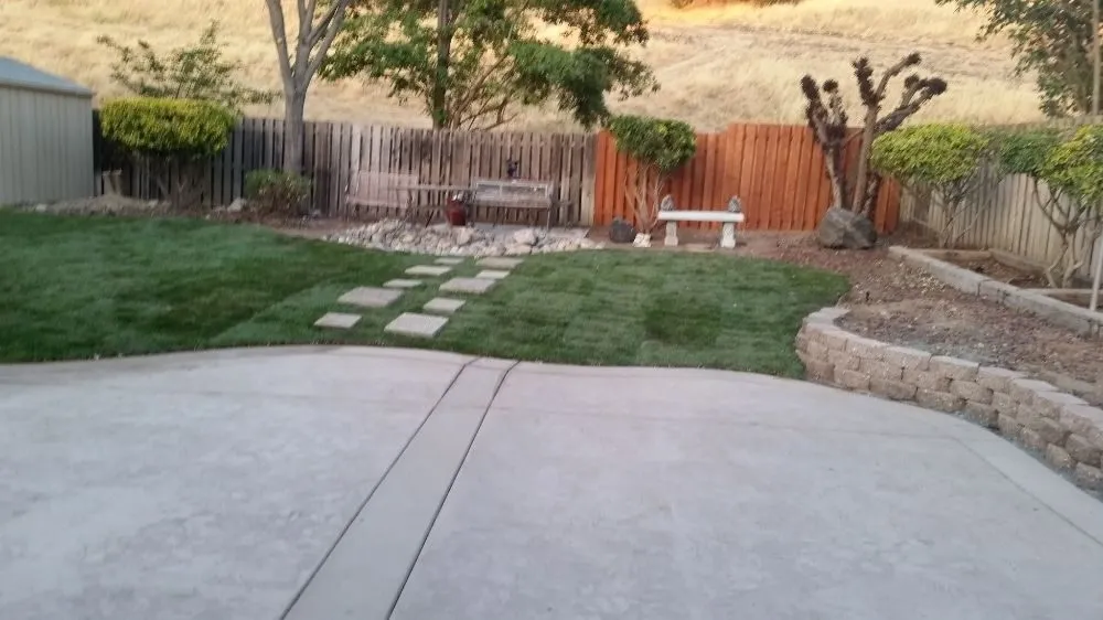 Professional landscape installation in Antioch, CA by Elite Concepts Construction