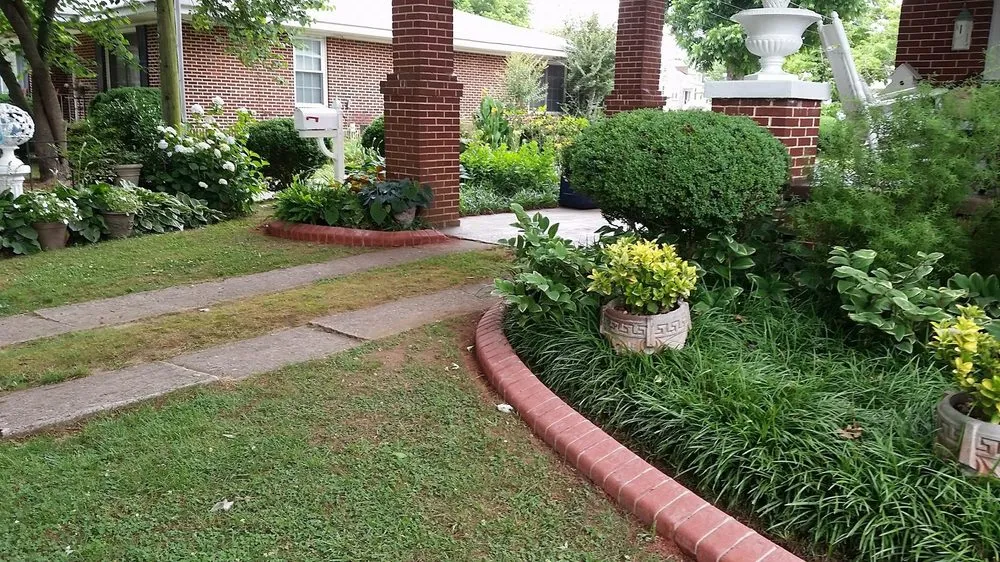 Professional yard cleanup service for residential properties in Ellijay, GA by Elite Concrete Curbing