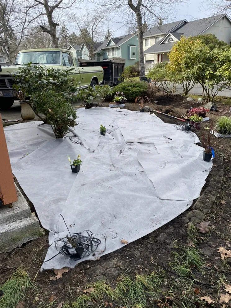 Professional yard maintenance in Lakewood, WA - Elite Concrete