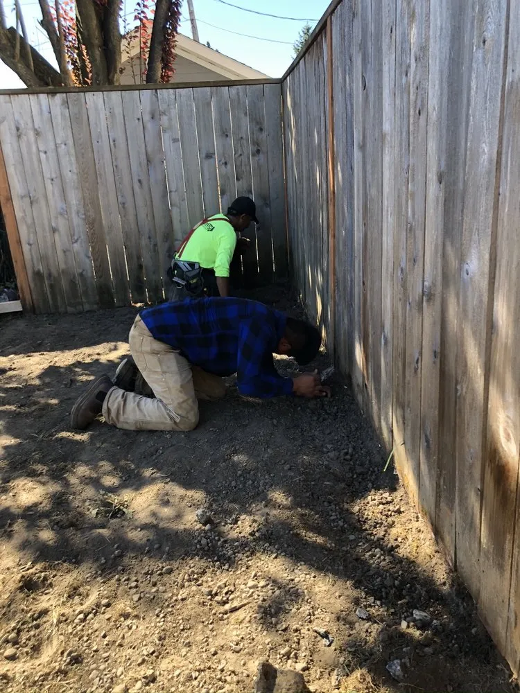 Top-rated lawn care service in Lakewood, WA by Elite Concrete