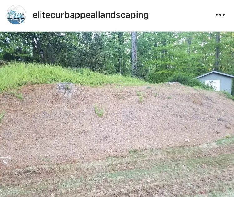 Expert landscape design near you across Atlanta, GA - Elite Curb Appeal Landscaping