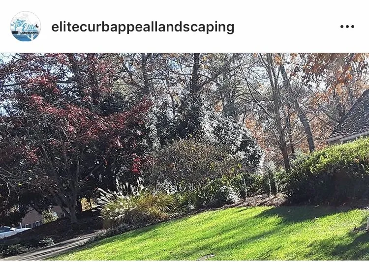 Trusted landscape installation experts serving Atlanta, GA - Elite Curb Appeal Landscaping