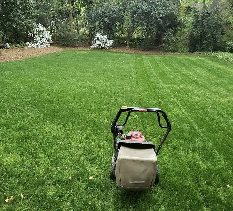 Top-rated landscaping services in Atlanta, GA - Elite Curb Appeal Landscaping