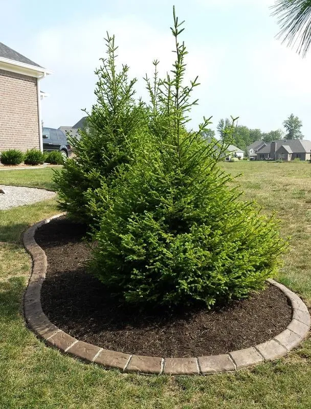 Custom landscaping services experts serving Columbus, IN - Elite Curb