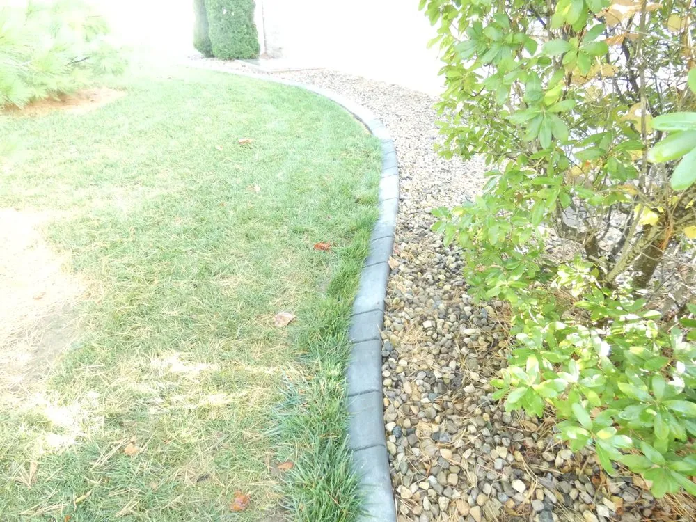 Expert yard cleanup service experts serving Columbus, IN - Elite Curb