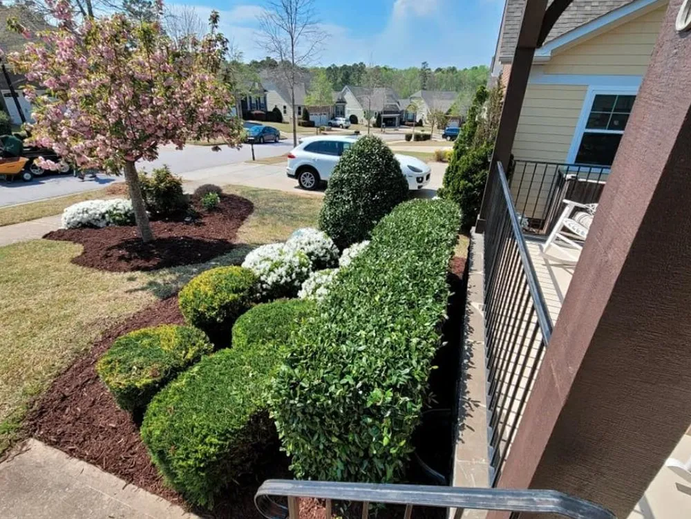 Local lawn care service near you in Fuquay-Varina, NC by Elite Cut & Mulch Lawn Care Services