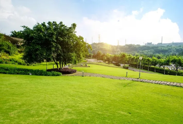 Local landscape installation in Ocala, FL by Elite Cutz Lawn Maintenance