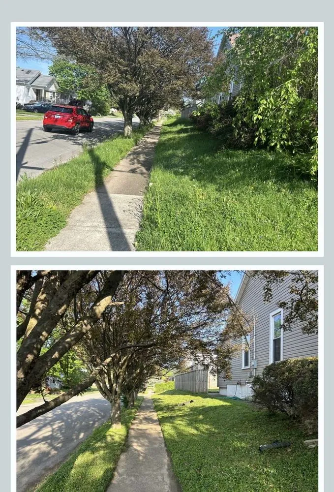 Top-rated lawn mowing service in Mount Washington, KY by Elite Cutz