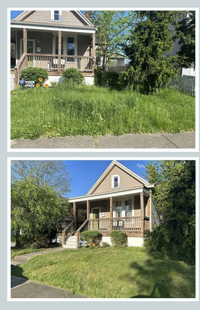 Top-rated yard cleanup service for homes across Mount Washington, KY - Elite Cutz