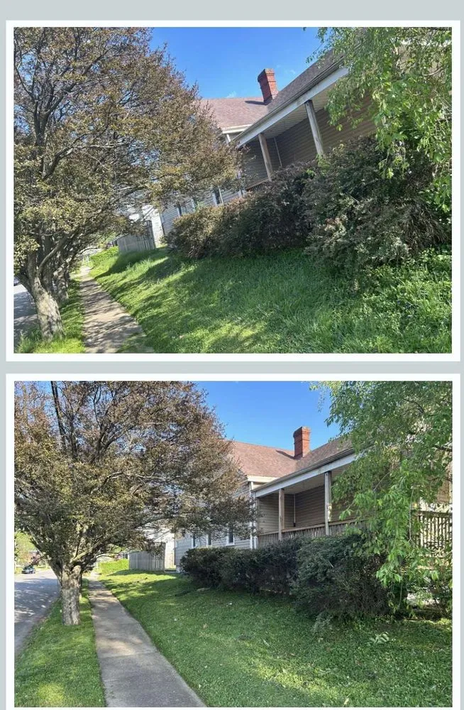 Local yard cleanup service for year-round maintenance across Mount Washington, KY - Elite Cutz
