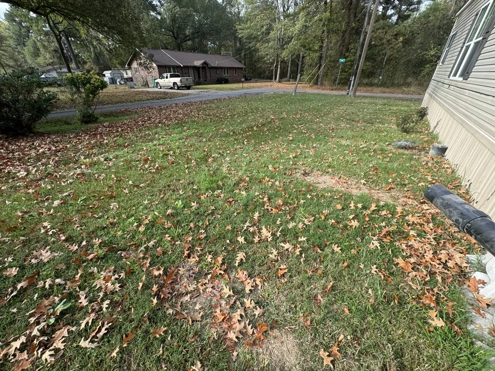 Reliable landscaping services experts serving Warren, AR - Elite Cutz