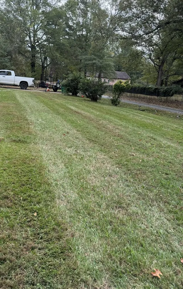 Affordable lawn mowing service experts serving Warren, AR - Elite Cutz