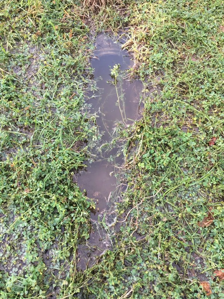 Expert landscape installation for homes across Fort Worth, TX - Elite Design Landscaping