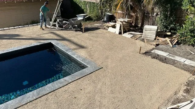 Reliable yard cleanup service near you across Tampa Bay, FL - Elite Designer Landscaping