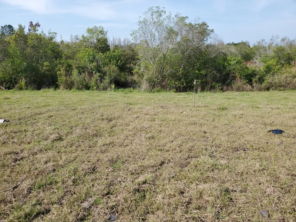 Professional landscape installation for beautiful yards in Tampa Bay, FL by Elite Designer Landscaping