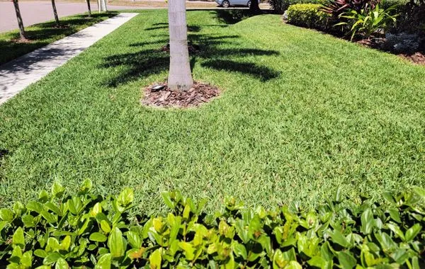 Elite Eagle Landscaping Logo