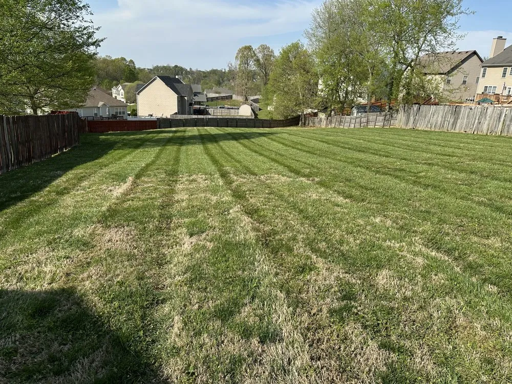 Affordable landscaping services experts serving Clarksville, TN - Elite Edge Landscaping