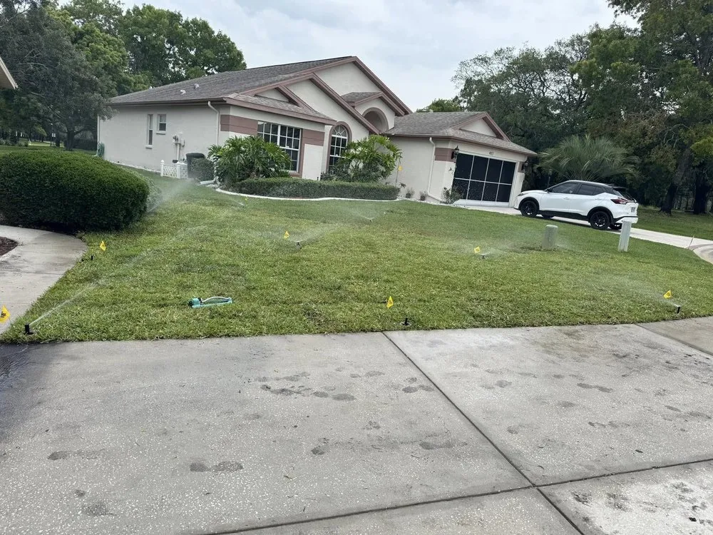 Expert yard maintenance for beautiful yards in Spring Hill, FL by Elite Edge Lawn Services