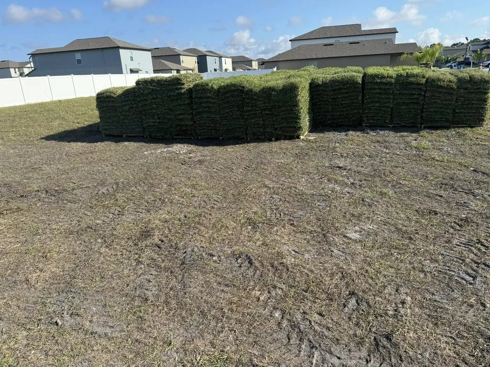 Expert lawn mowing service experts serving Spring Hill, FL - Elite Edge Lawn Services