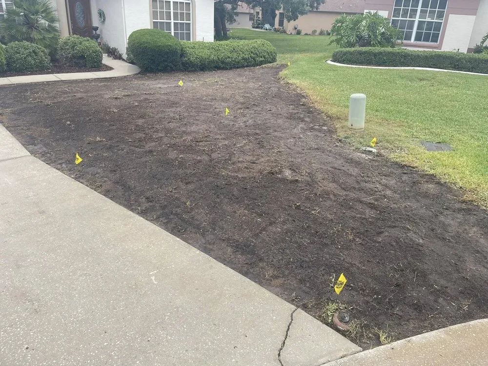 Top-rated yard cleanup service in Spring Hill, FL by Elite Edge Lawn Services